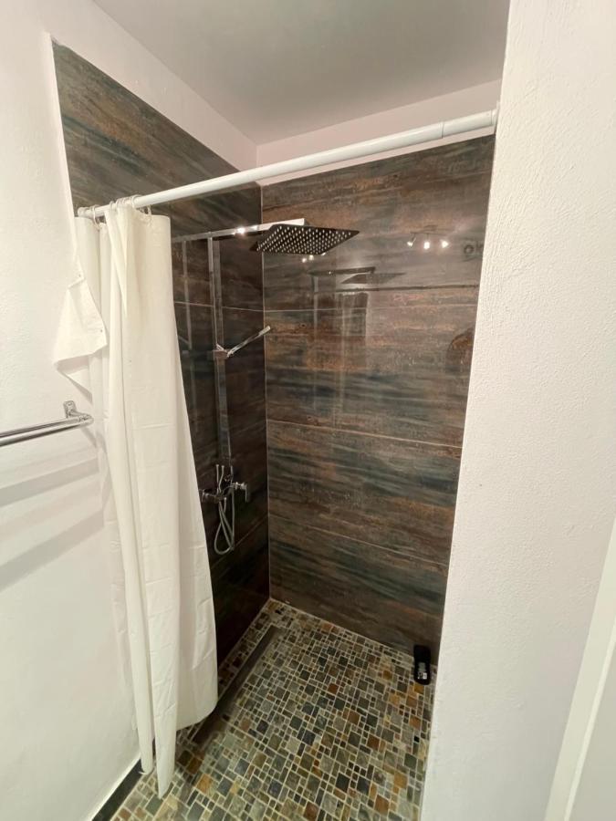 Central Retro Apartment シビウ エクステリア 写真